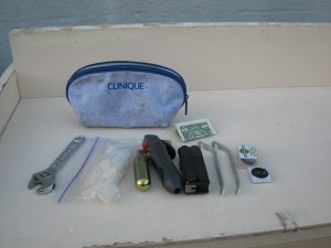 pouch, wrench, latex gloves, C02 air pump, tire levers, patch kit, cash