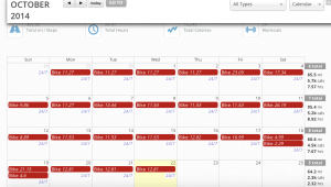 calendar screen shot, notes on dates when biked