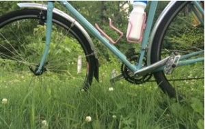 bike standing in tall grass