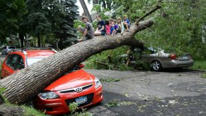 tree fallen on a car with people sitting on top of the tree