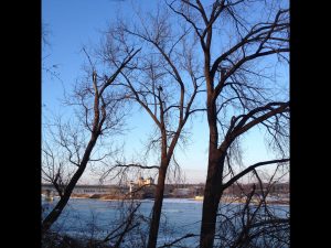 leafless trees along a frozen river with a skyline in the background