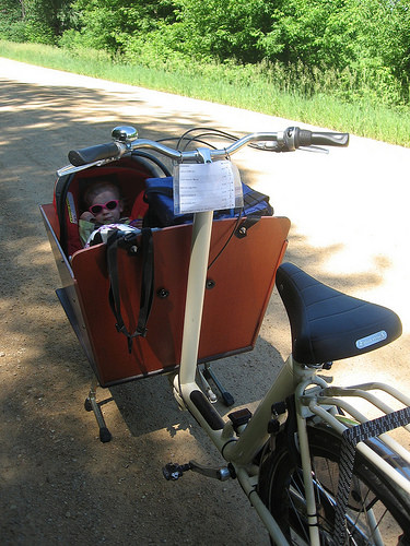 zinnia in a kid cargo bike