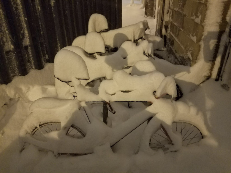 many bikes burried in snonw