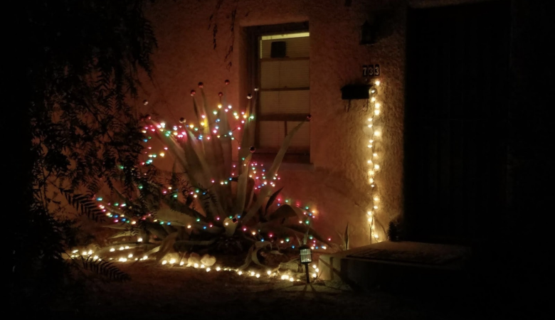 christmas lights against a house